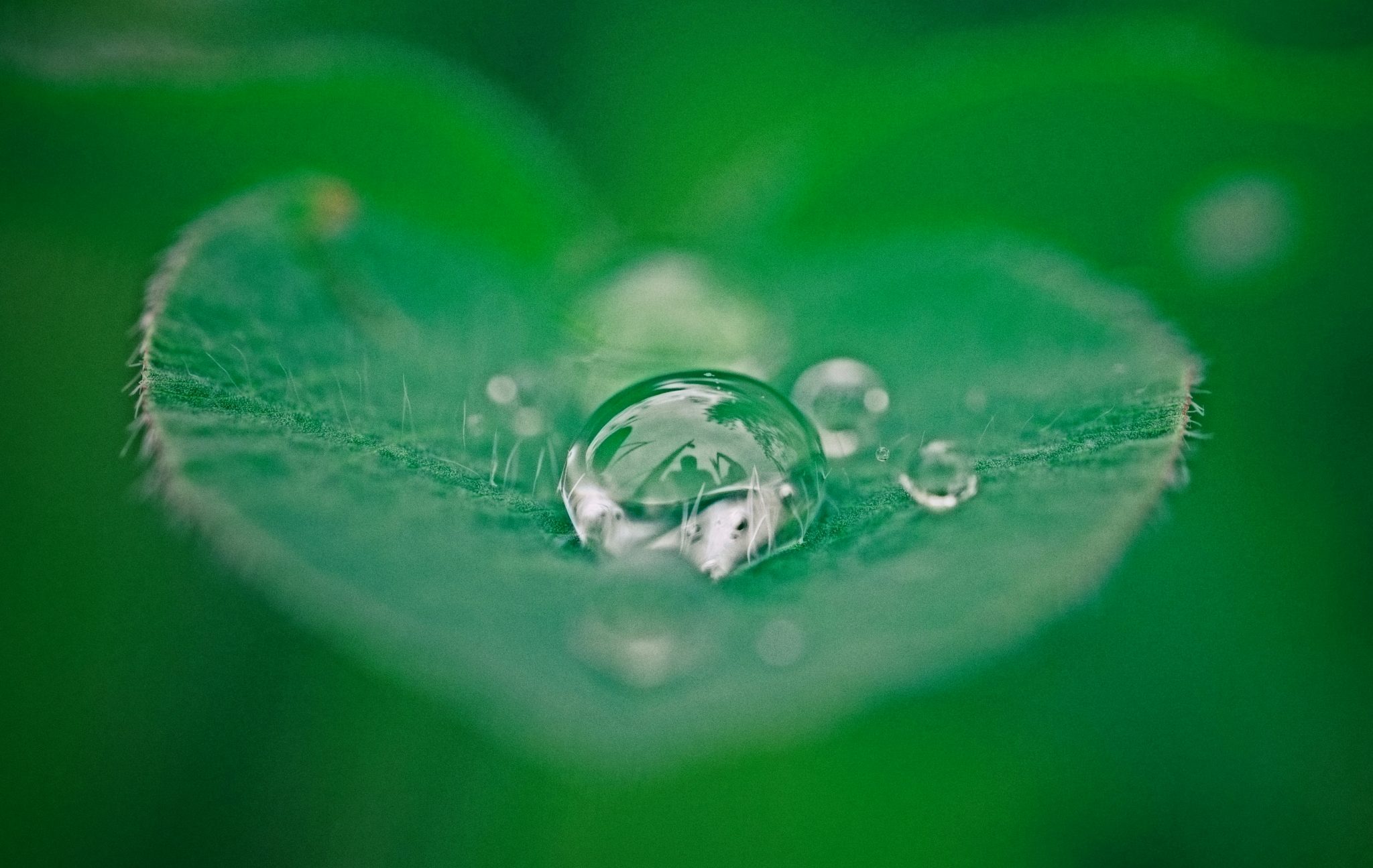 Leeds Water Treatment Plant Engineers Installation Fabrication Chemical